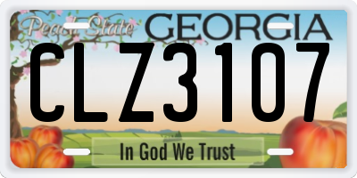 GA license plate CLZ3107