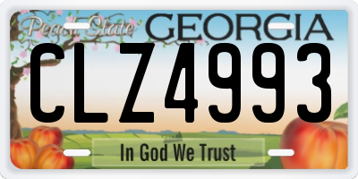 GA license plate CLZ4993