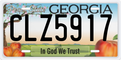 GA license plate CLZ5917