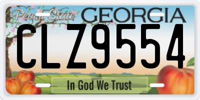 GA license plate CLZ9554