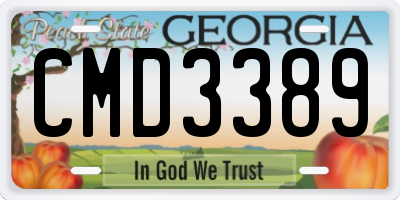 GA license plate CMD3389