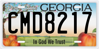 GA license plate CMD8217