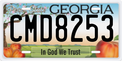 GA license plate CMD8253