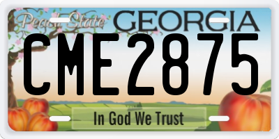 GA license plate CME2875