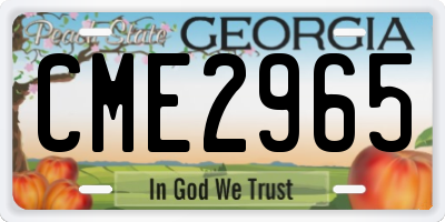 GA license plate CME2965