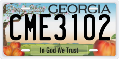 GA license plate CME3102