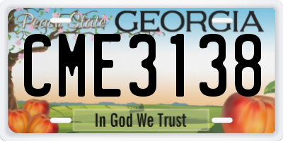 GA license plate CME3138