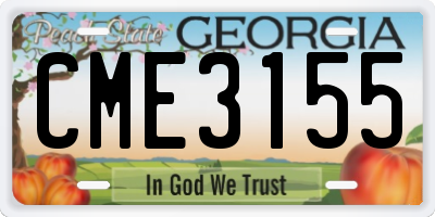 GA license plate CME3155