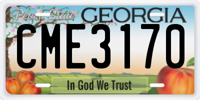 GA license plate CME3170