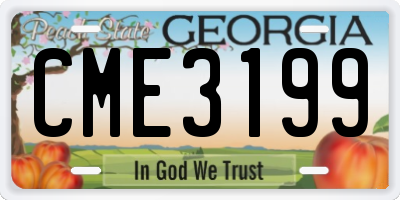 GA license plate CME3199