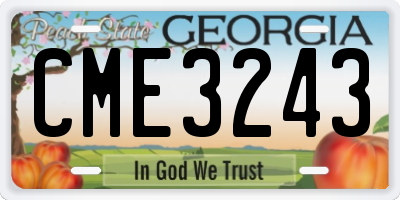 GA license plate CME3243