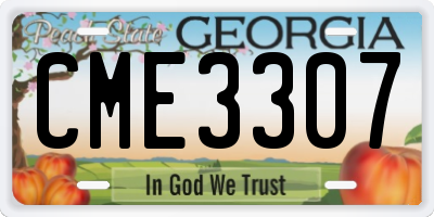 GA license plate CME3307