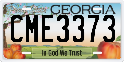 GA license plate CME3373