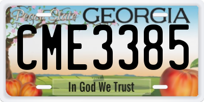 GA license plate CME3385