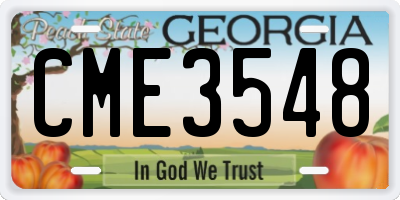 GA license plate CME3548