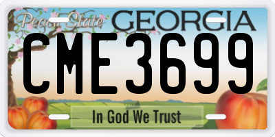 GA license plate CME3699
