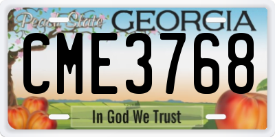GA license plate CME3768
