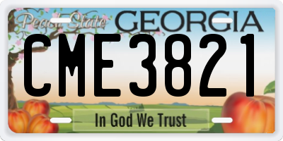 GA license plate CME3821