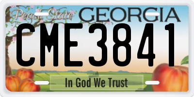 GA license plate CME3841