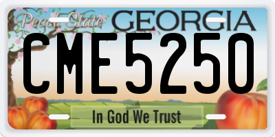 GA license plate CME5250