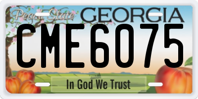GA license plate CME6075