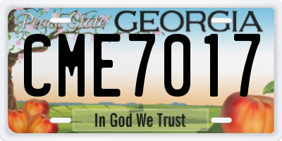 GA license plate CME7017