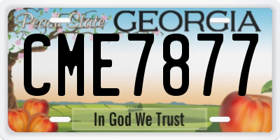 GA license plate CME7877