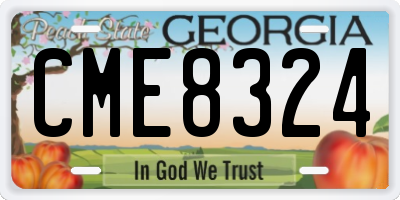 GA license plate CME8324