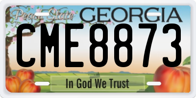 GA license plate CME8873
