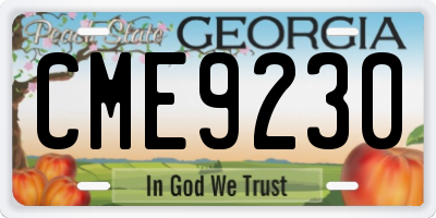 GA license plate CME9230