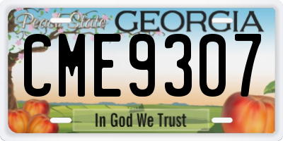 GA license plate CME9307