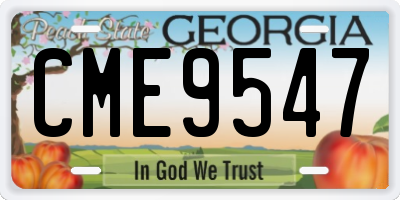 GA license plate CME9547