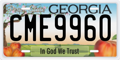 GA license plate CME9960