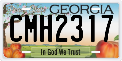 GA license plate CMH2317