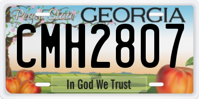 GA license plate CMH2807