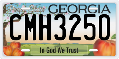 GA license plate CMH3250