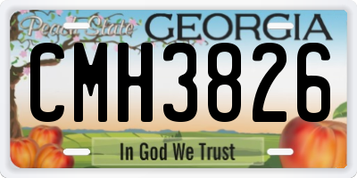 GA license plate CMH3826