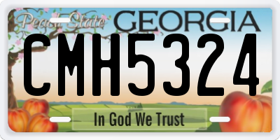 GA license plate CMH5324