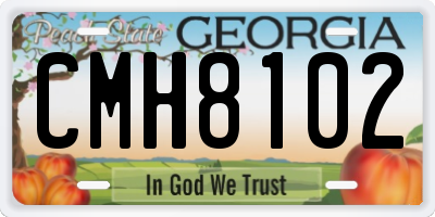 GA license plate CMH8102