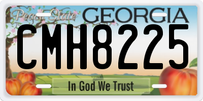GA license plate CMH8225