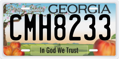 GA license plate CMH8233