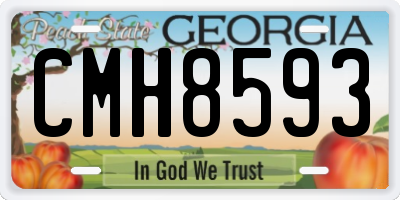 GA license plate CMH8593