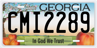 GA license plate CMI2289