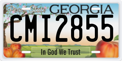 GA license plate CMI2855