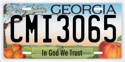 GA license plate CMI3065