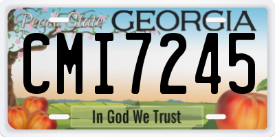 GA license plate CMI7245