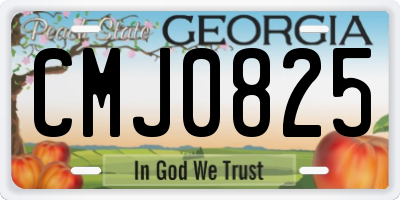 GA license plate CMJ0825