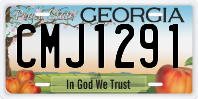 GA license plate CMJ1291