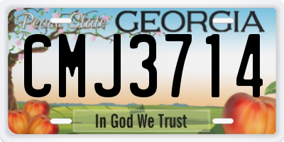 GA license plate CMJ3714