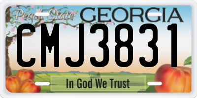 GA license plate CMJ3831